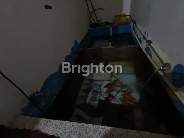 image RUMAH DENGAN KOLAM (8)