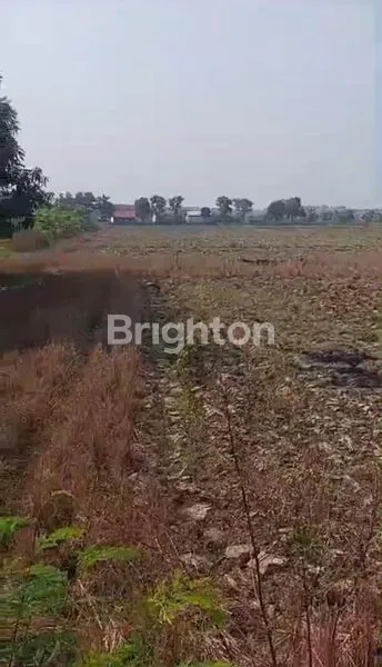 image TANAH DARAT DI JUAL (4)