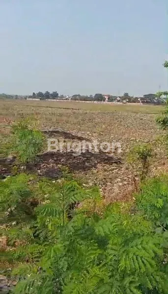 image TANAH DARAT DI JUAL (2)