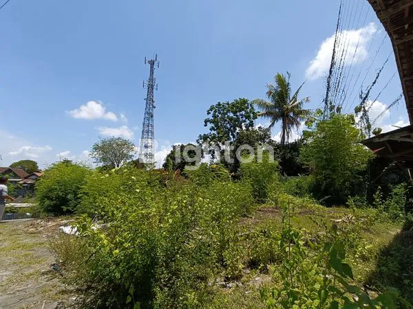 image RUMAH STRATEGIS DEKAT ALUN ALUN LUMAJANG (8)
