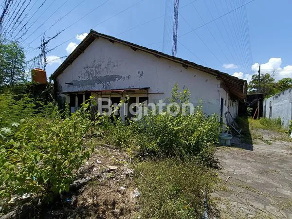 image RUMAH STRATEGIS DEKAT ALUN ALUN LUMAJANG (7)