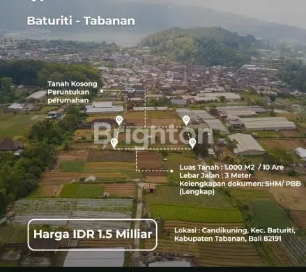 TANAH AREA BATURITI TABANAN AKSES MUDAH DAN STRATEGIS