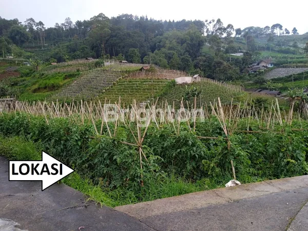 image BLOK. NYALINDUNG, CIKOLE – KEC.LEMBANG – KAB.BANDUNG BARAT (2)