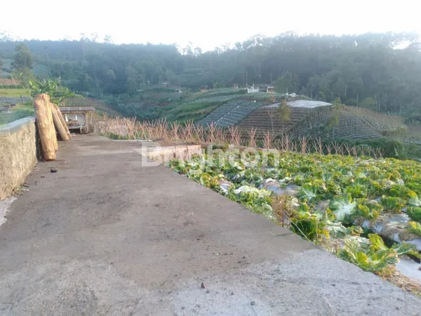 image BLOK. NYALINDUNG, CIKOLE – KEC.LEMBANG – KAB.BANDUNG BARAT (4)