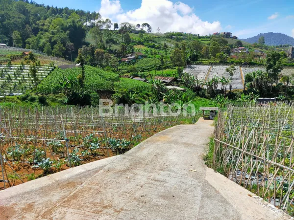 image BLOK. NYALINDUNG, CIKOLE – KEC.LEMBANG – KAB.BANDUNG BARAT (7)