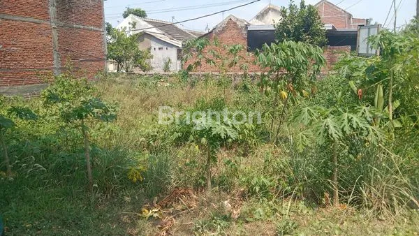 image TANAH DENGAN LOKASI STRATEGIS DI PAKIS COCOK UNTUK DI BANGUN RUMAH (2)