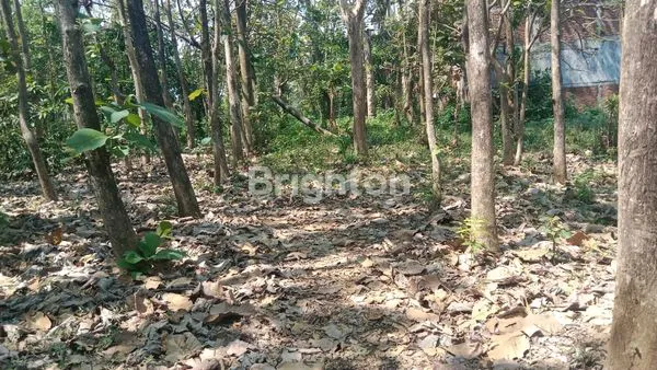 image TANAH YANG HANYA 2 MENIT DARI BANDARA ABDULRAHMAN SALEH (2)