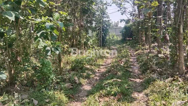 image TANAH YANG HANYA 2 MENIT DARI BANDARA ABDULRAHMAN SALEH (4)