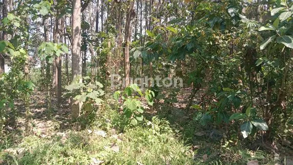 image TANAH YANG HANYA 2 MENIT DARI BANDARA ABDULRAHMAN SALEH (5)