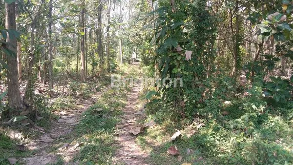image TANAH YANG HANYA 2 MENIT DARI BANDARA ABDULRAHMAN SALEH (7)