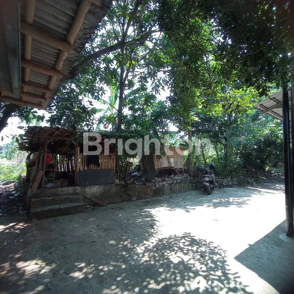 image FOR SALE TANAH DI SASAK PANJANG.TAJUR HALANG.BOGOR (2)