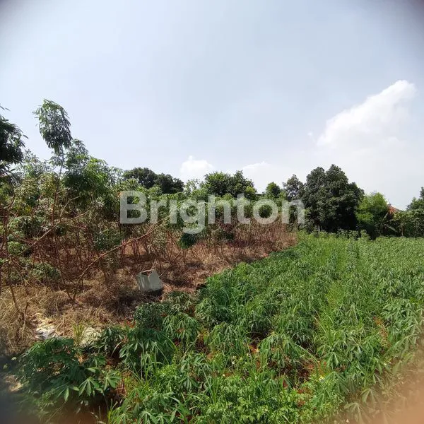 image FOR SALE TANAH DI SASAK PANJANG.TAJUR HALANG.BOGOR (3)