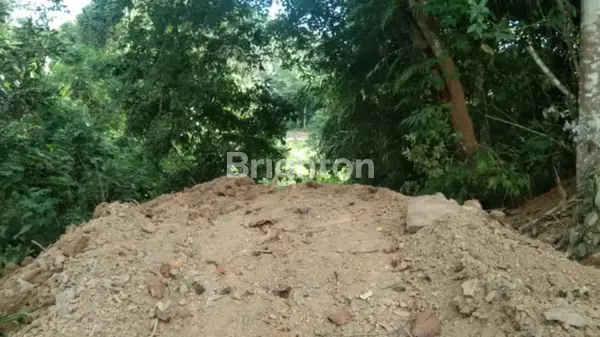 image TANAH BERSEBRANGAN DENGAN SMARINDA HILLS (5)