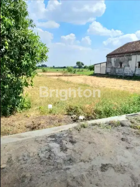 image TANAH KAVLING SIAP BANGUN KEDAMEAN-GRESIK (2)