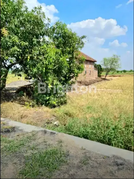 image TANAH KAVLING SIAP BANGUN KEDAMEAN-GRESIK (3)