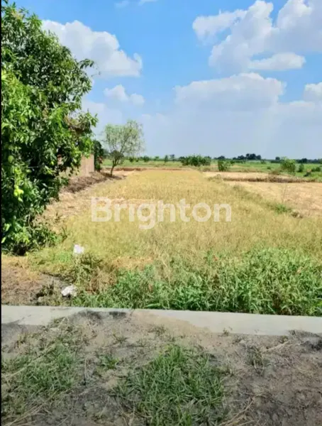 image TANAH KAVLING SIAP BANGUN KEDAMEAN-GRESIK (1)