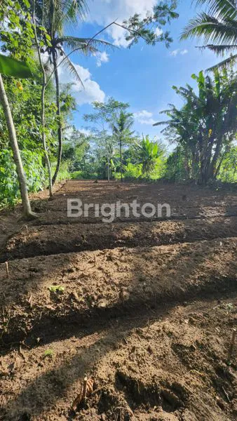 image TANAH SIAP BANGUN LT. 958 M2 DI SEMANDING, CURUNG REJO, KEC. KEPANJEN, KABUPATEN MALANG, JAWA TIMUR (5)