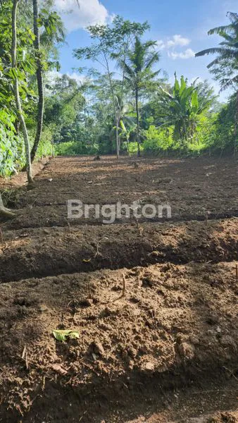 image TANAH SIAP BANGUN LT. 958 M2 DI SEMANDING, CURUNG REJO, KEC. KEPANJEN, KABUPATEN MALANG, JAWA TIMUR (4)