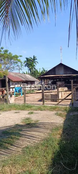 image RUMAH DAN TANAH LUAS PASAR 1 TAMBAK REJO (3)