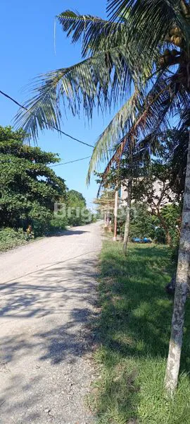 image RUMAH DAN TANAH LUAS PASAR 1 TAMBAK REJO (7)