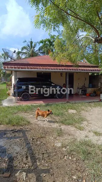 image RUMAH DAN TANAH LUAS PASAR 1 TAMBAK REJO (5)