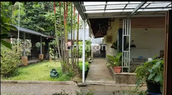 image RUMAH STRATEGIS DENGAN LAHAN YG LUAS DI TENGAH KOTA BOGOR (6)