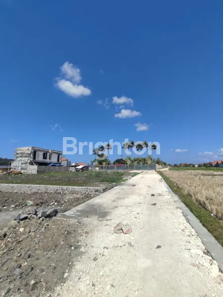 TANAH BUMBAK UMALAS DI BAWAH 1M