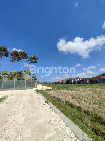 image TANAH BUMBAK UMALAS DI BAWAH 1M  (2)