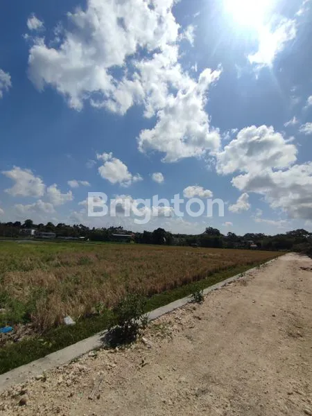 image TANAH BUMBAK UMALAS DI BAWAH 1M  (3)