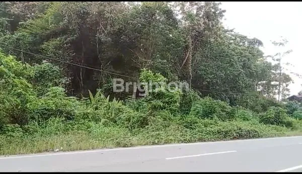 image TANAH STRATEGIS DI JALAN UTAMA SEKADAU HILIR (2)