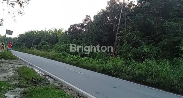 image TANAH STRATEGIS DI JALAN UTAMA SEKADAU HILIR (3)
