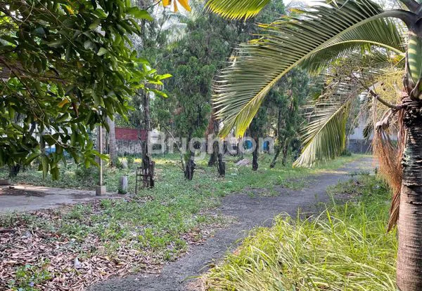 image PABRIK STRATEGIS DI JL RAYA SERPONG BSD DEKAT PINTU TOL JAKARTA TANGERANG (4)