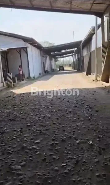 image INVESTASI PROPERTY AMAN : GUDANG MURAH DAN LUAS, LOKASI STRATEGIS DI PINGGIR JALAN BESAR PANJUNAN PATI (2)