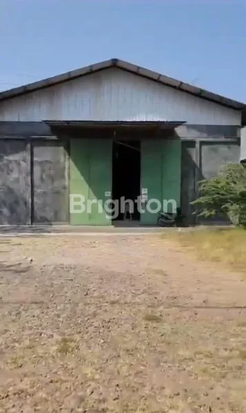 image INVESTASI PROPERTY AMAN : GUDANG MURAH DAN LUAS, LOKASI STRATEGIS DI PINGGIR JALAN BESAR PANJUNAN PATI (7)