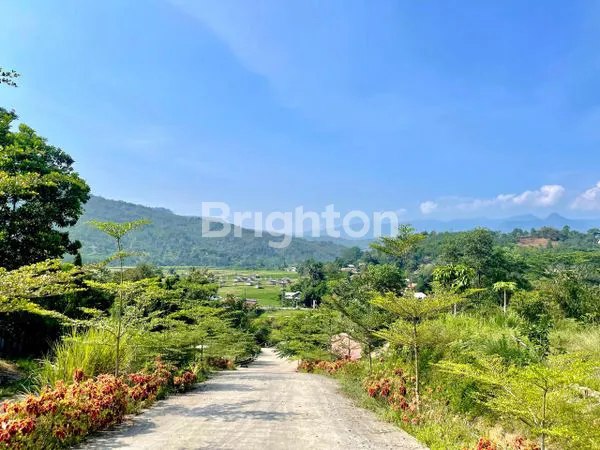 TANAH RESIDENSIAL 12,6 HEKTAR DI SUKANEGARA JONGGOL KAB. CIANJUR JAWA BARAT