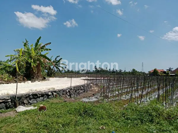 image DIJUAL TANAH KAPLING DI SUDIMARA TABANAN (1)
