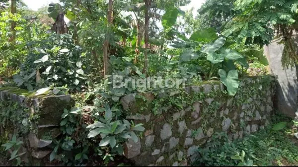 image TANAH DI DESA PONGANGAN - GUNUNG PATI (1)