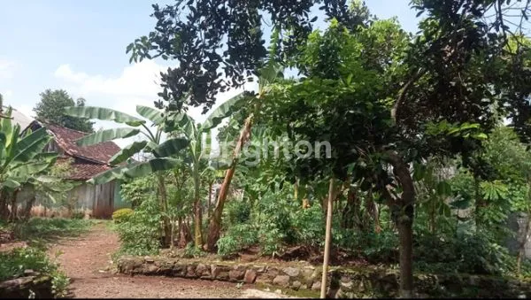 image TANAH DI DESA PONGANGAN - GUNUNG PATI (2)