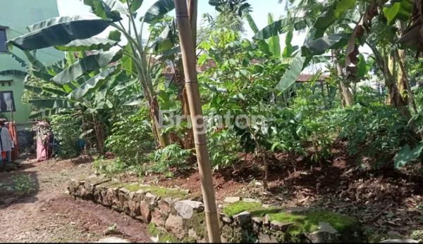 image TANAH DI DESA PONGANGAN - GUNUNG PATI (3)