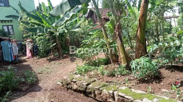 image TANAH DI DESA PONGANGAN - GUNUNG PATI (4)