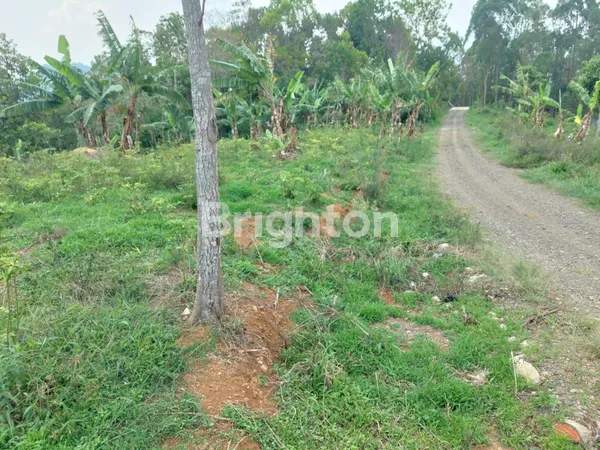 image SUKANAGARA 2 - SOREANG (4)