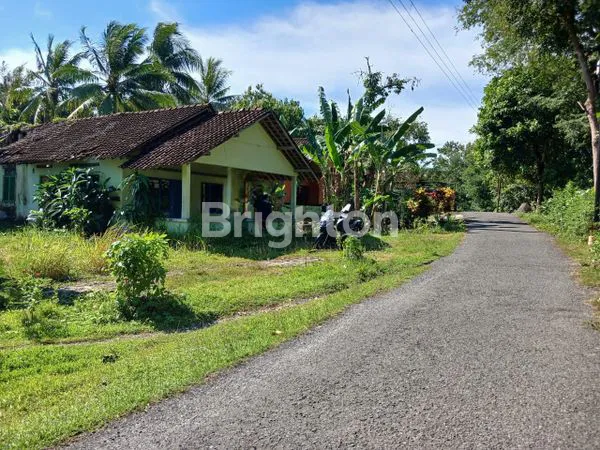 image DIJUAL SANGAT MURAH TANAH PEKARANGAN BARAT UMY (3)