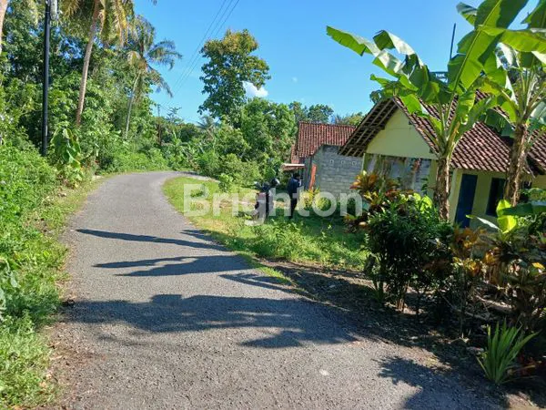 image DIJUAL SANGAT MURAH TANAH PEKARANGAN BARAT UMY (1)