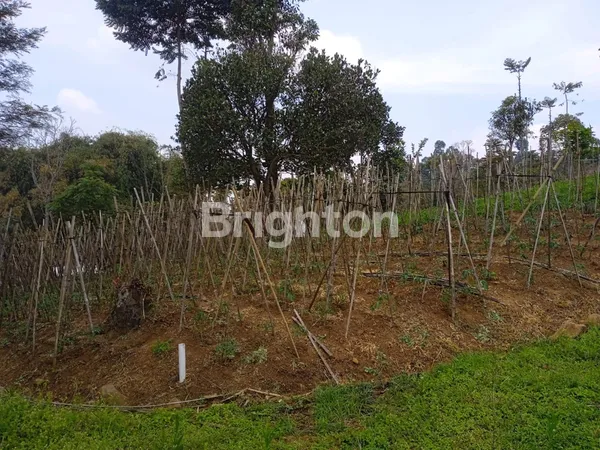 image TANAH CIMONCE - SOREANG  (3)