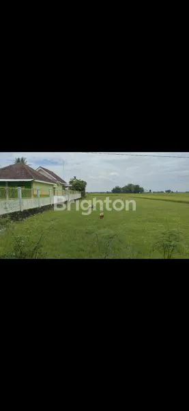 TANAH DIJUAL DI PINGGIR JL. NASIONAL III PURWOREJO, COCOK UNTUK GUDANG/TEMPAT USAHA