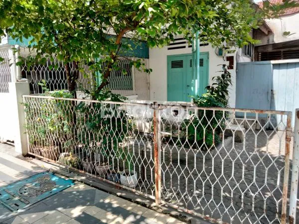 image RUMAH KUNO COCOK UNTUK CAFE (1)