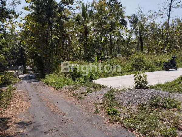 image TANAH PEKARANGAN HARGA DI BAWAH 100 JUTA (1)