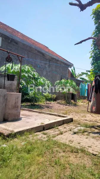 image TANJUNG MEKAR  (8)