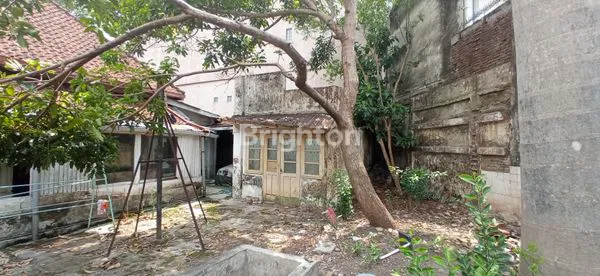 image RUMAH KOLONIAL BELANDA DI DAERAH IJEN KOTA MALANG (4)