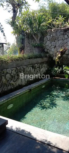 DISEWAKAN VILLA MINIMALIS BERGAYA ETNIK DI DAERAH LODTUNDUH UBUD